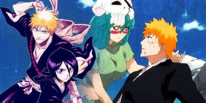 What ships are canon in Bleach?