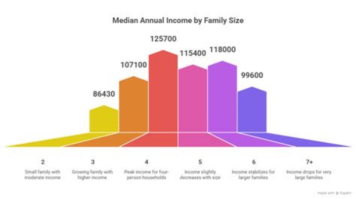 What should be included in household income?
