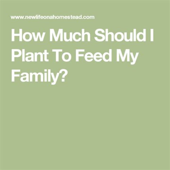 What should I feed my family?