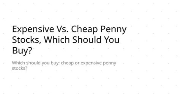 What should you evaluate when considering a penny stock?