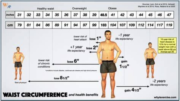 What size waist should a 5 7 man have?