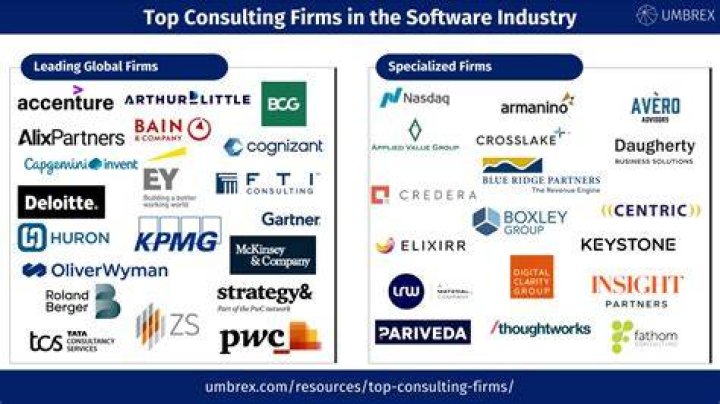 What software do consulting firms use?