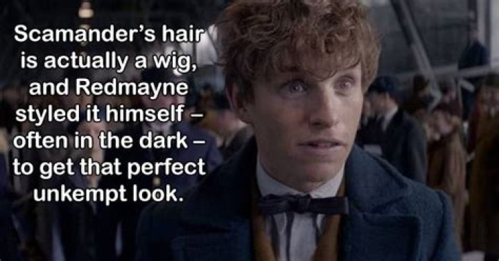 What spell did Newt Scamander use?