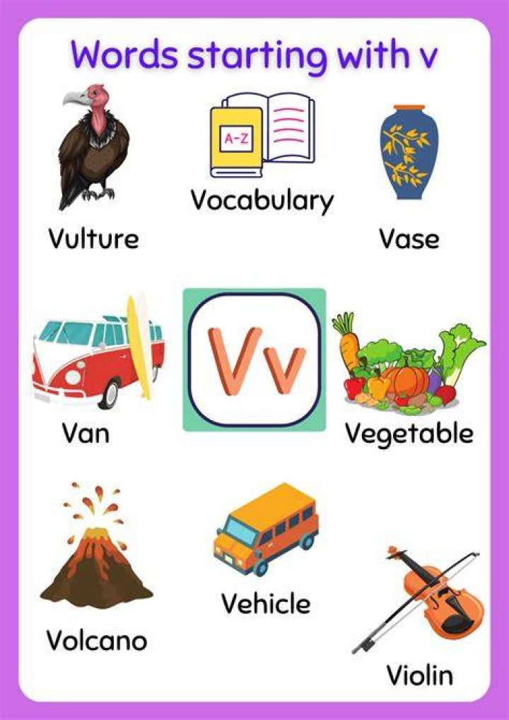 What starts with V in the kitchen?