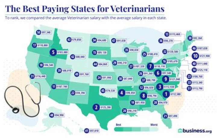 What states pay vets the most?
