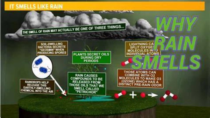 What takes smells out of the air?