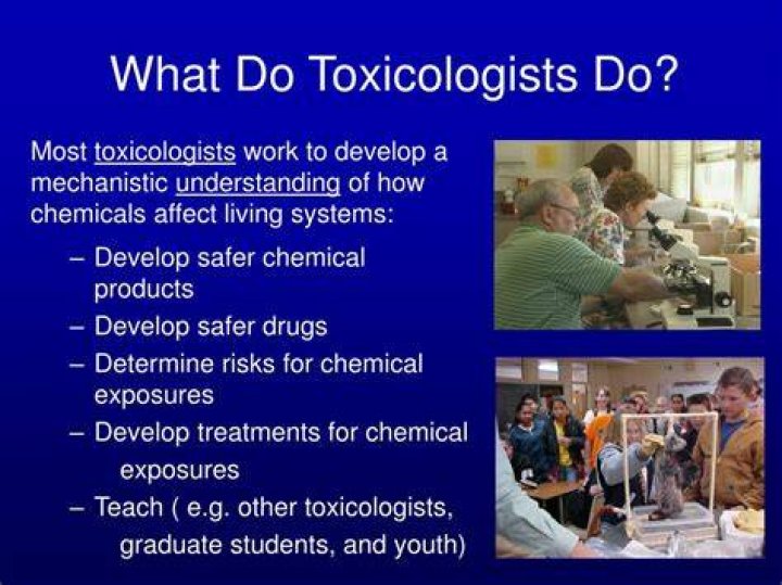What tasks do toxicologists do?