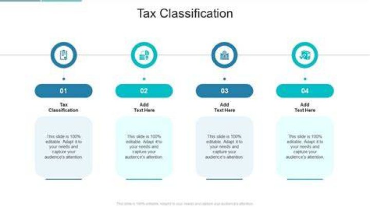 What tax classification should I use for my business?