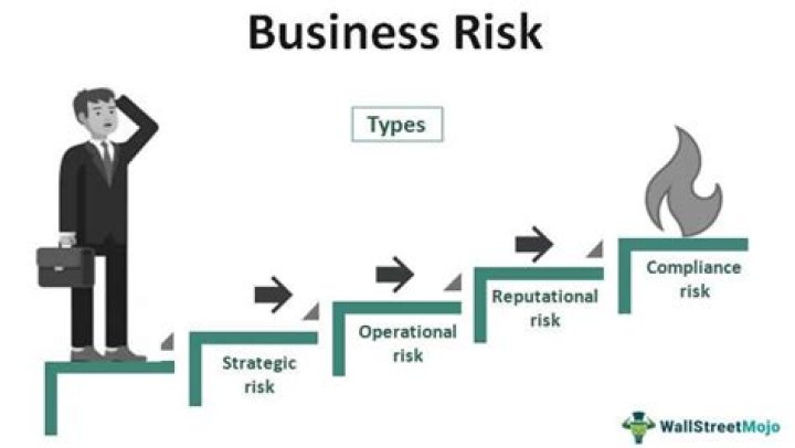 What term is defined as a person who risks their capital in organizing and running a business?