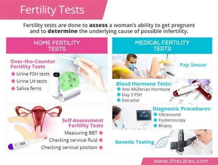 What tests are done when trying to conceive?