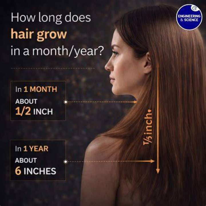 What time does hair grow the most?