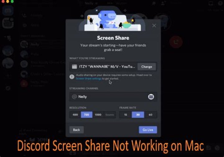 What to do if share screen is not working?