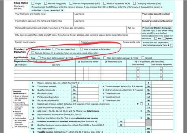 What to do if someone filed me as a dependent?