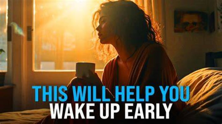 What to do if you wake up with a bat in your room?