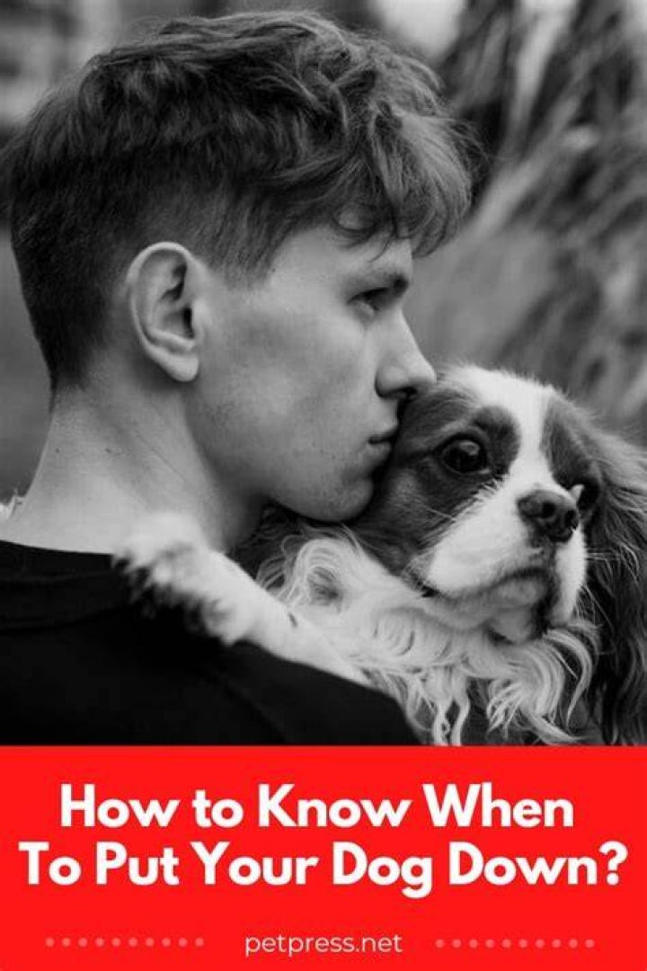 What to say when dog put down?