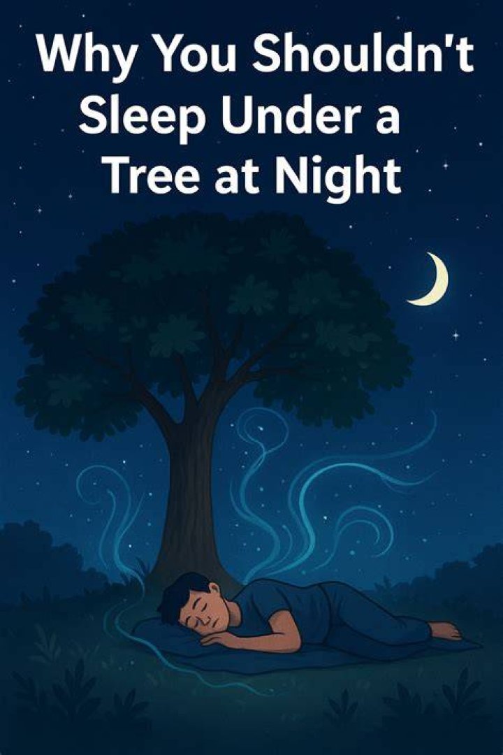 What tree kills you if you sleep under it?