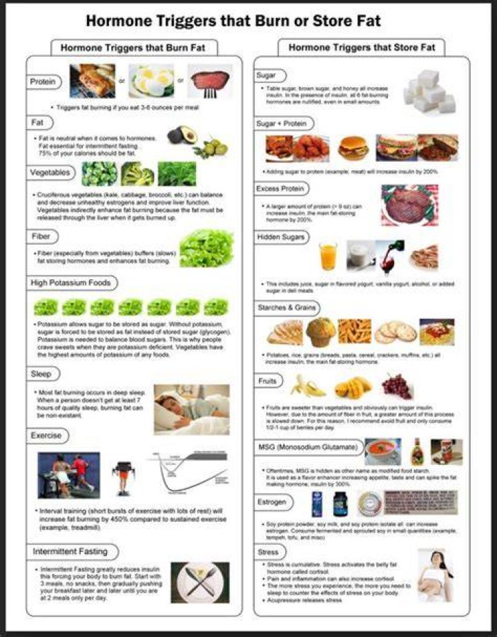 What triggers fat-burning?