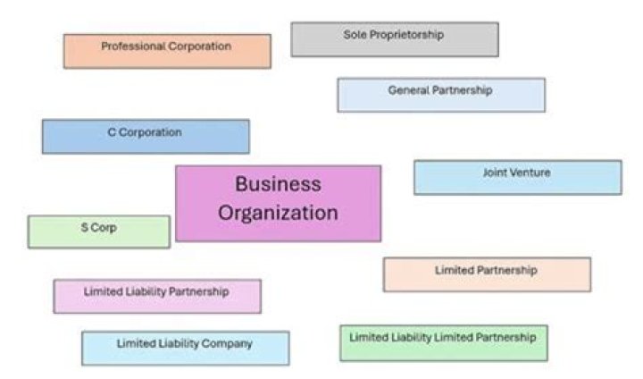 What type of business organization is personal chef?