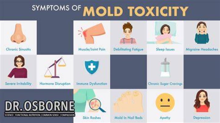 What type of doctor treats mold toxicity?
