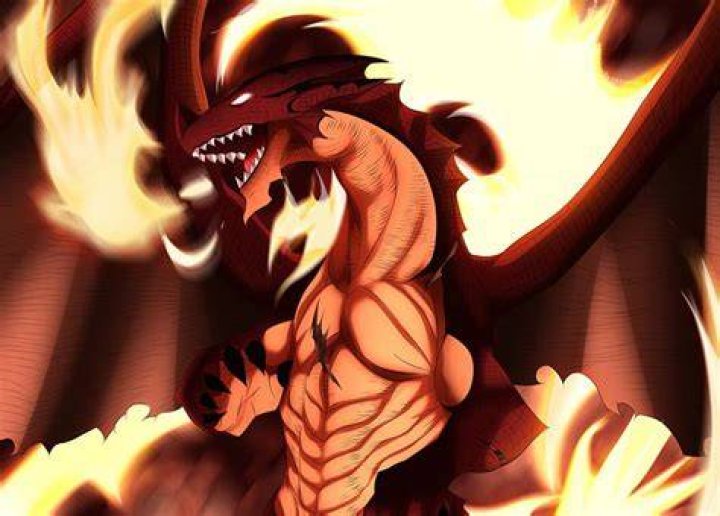 What type of dragon is Igneel?