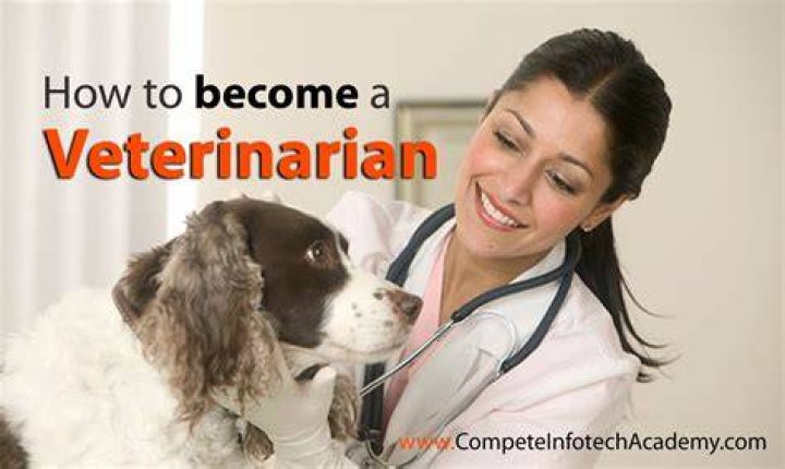 What type of education is needed for veterinarian?
