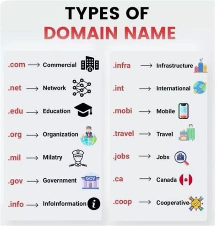 What type of expense is domain name?