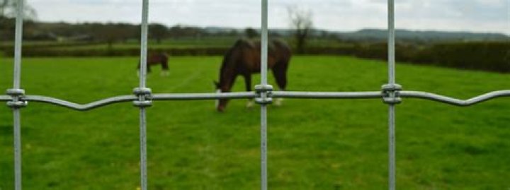 What type of fencing should never be used for horses?