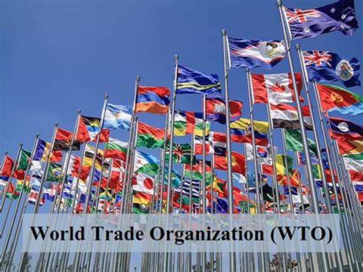 What type of help does the WTO give its member countries?