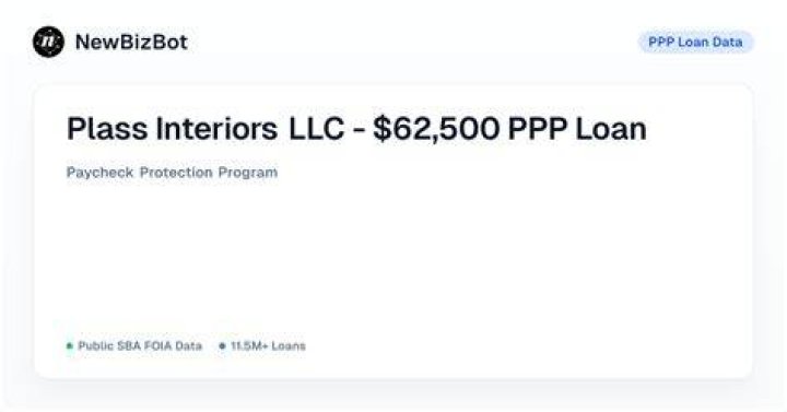 What type of loan is the PPP?