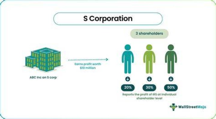 What type of stock does an S Corp have?