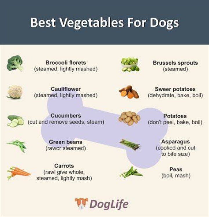 What vegetables can puppies eat?