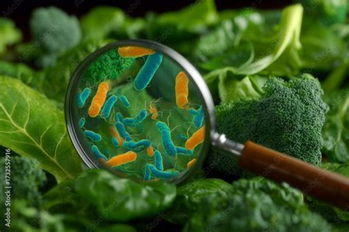 What vegetables have Listeria?