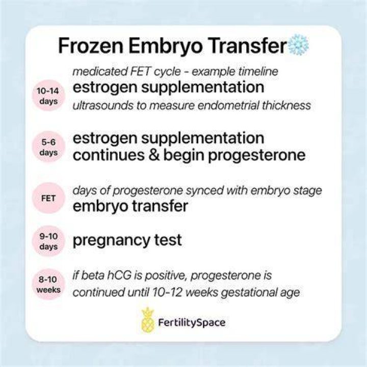 What vitamins should I take before embryo transfer?
