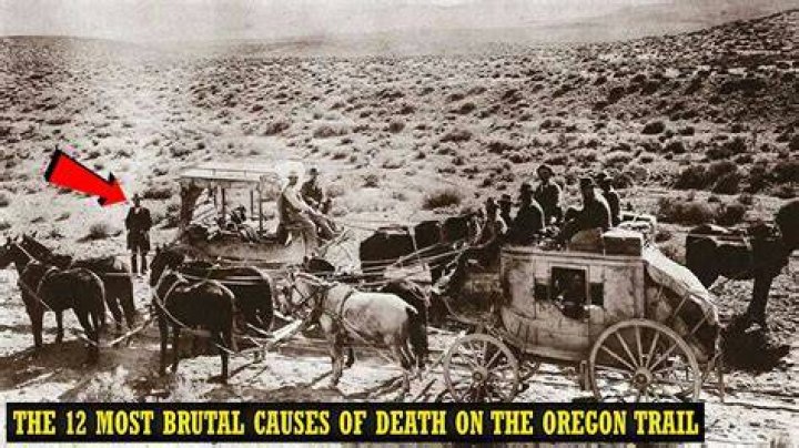 What was the biggest cause of death on the Oregon Trail?