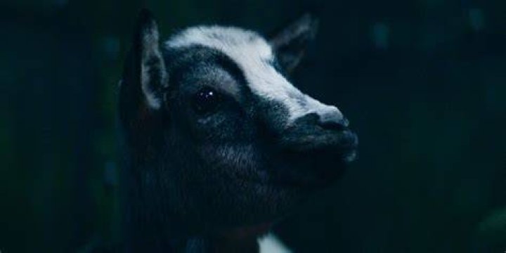 What was the point of the goat in Shadow and Bone?