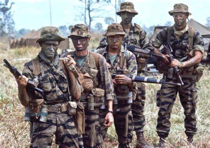 What was the Tiger Force in Vietnam?