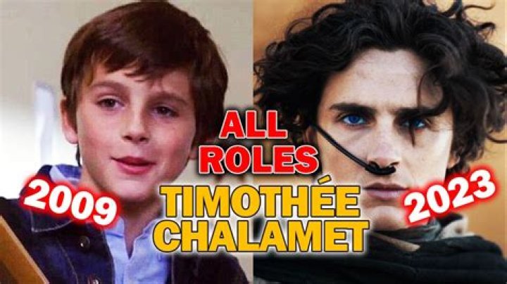 What was Timothee Chalamets first big role?