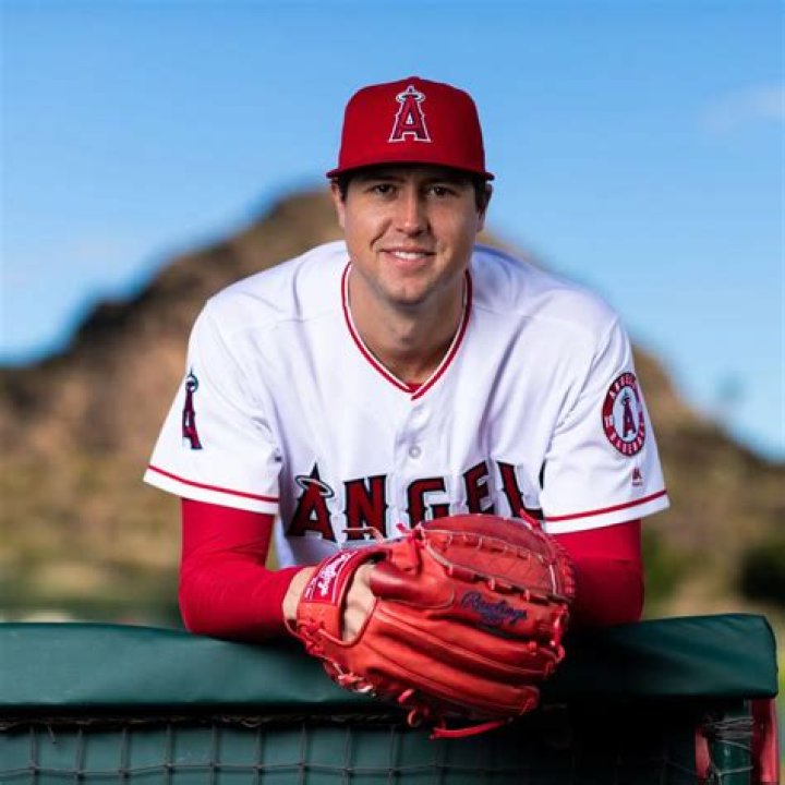 What was Tyler Skaggs net worth?