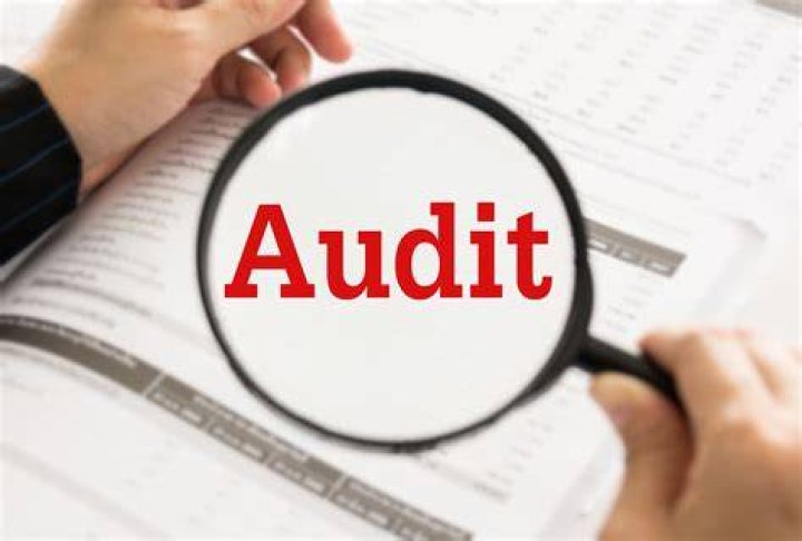 What were the chances of someone being audited in 2016?