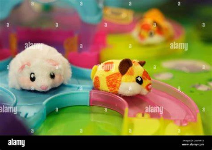 What were the hamster toys called?