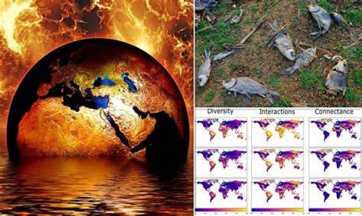 What will cause human extinction?