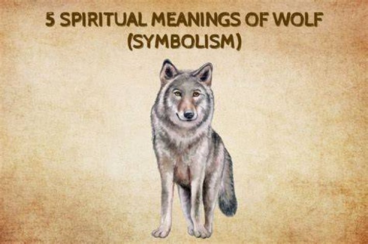 What wolf symbolizes?