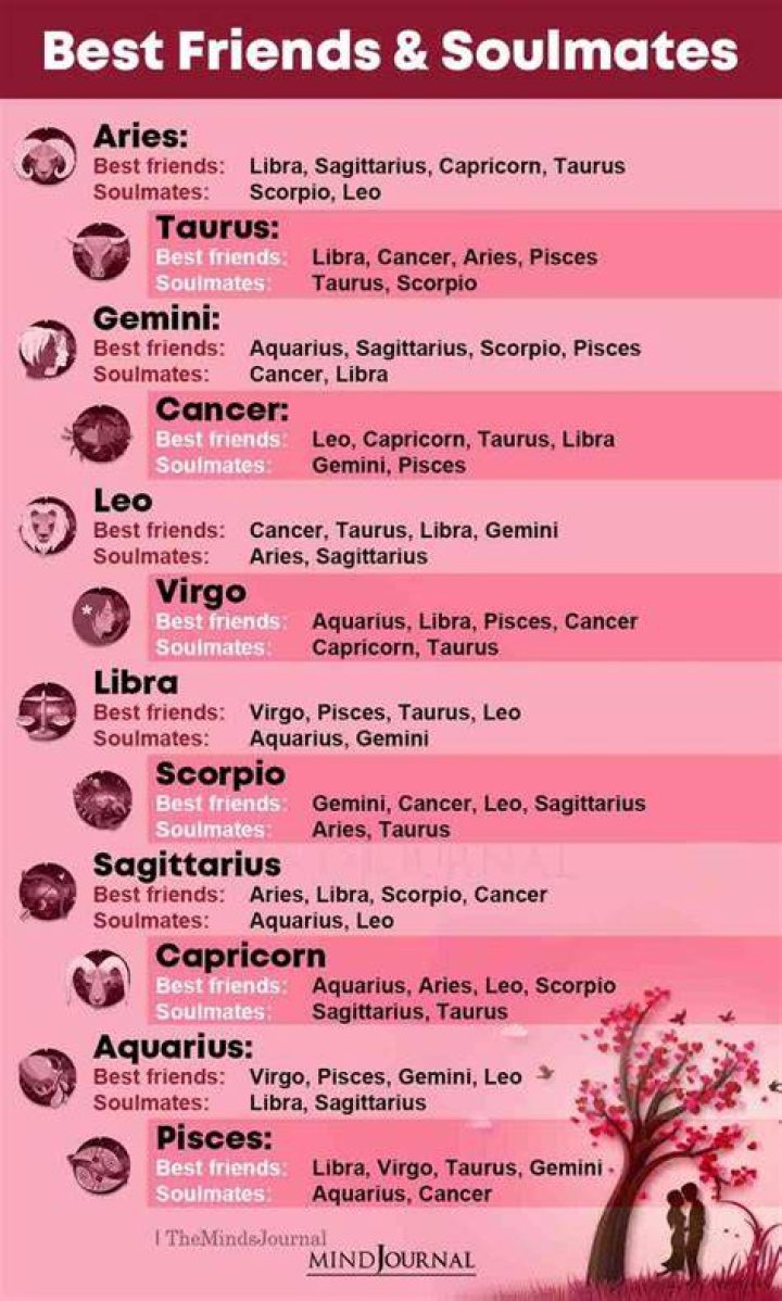 What zodiac signs are meant to be friends?