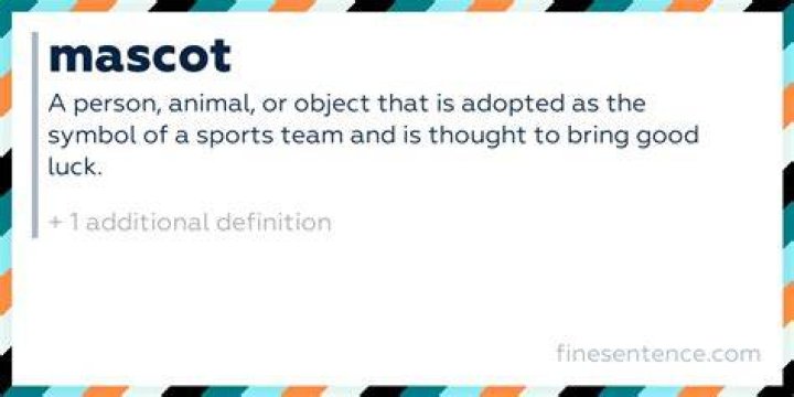 Whats the definition of mascot?