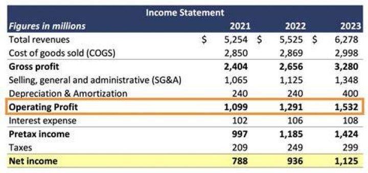 When a corporation makes a profit to whom does the profit go?