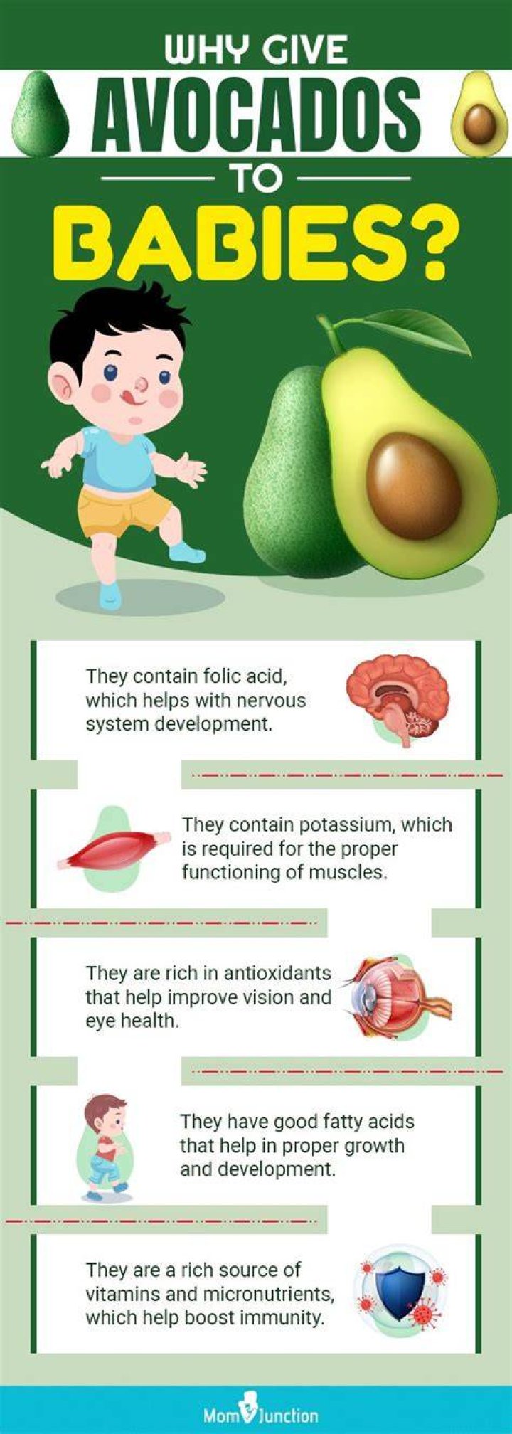When can babies eat avocado?