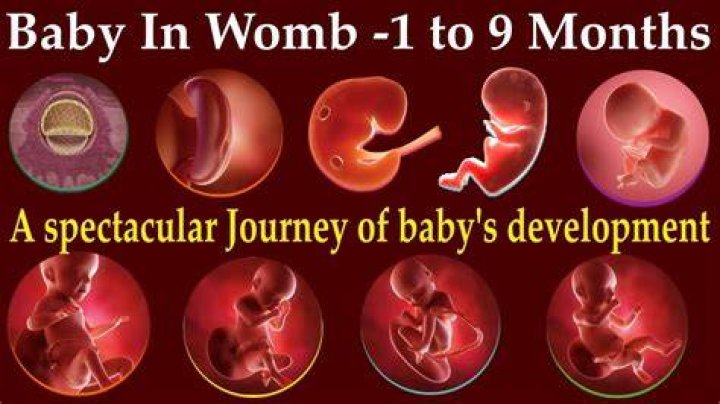 When can I start talking to my baby in the womb?