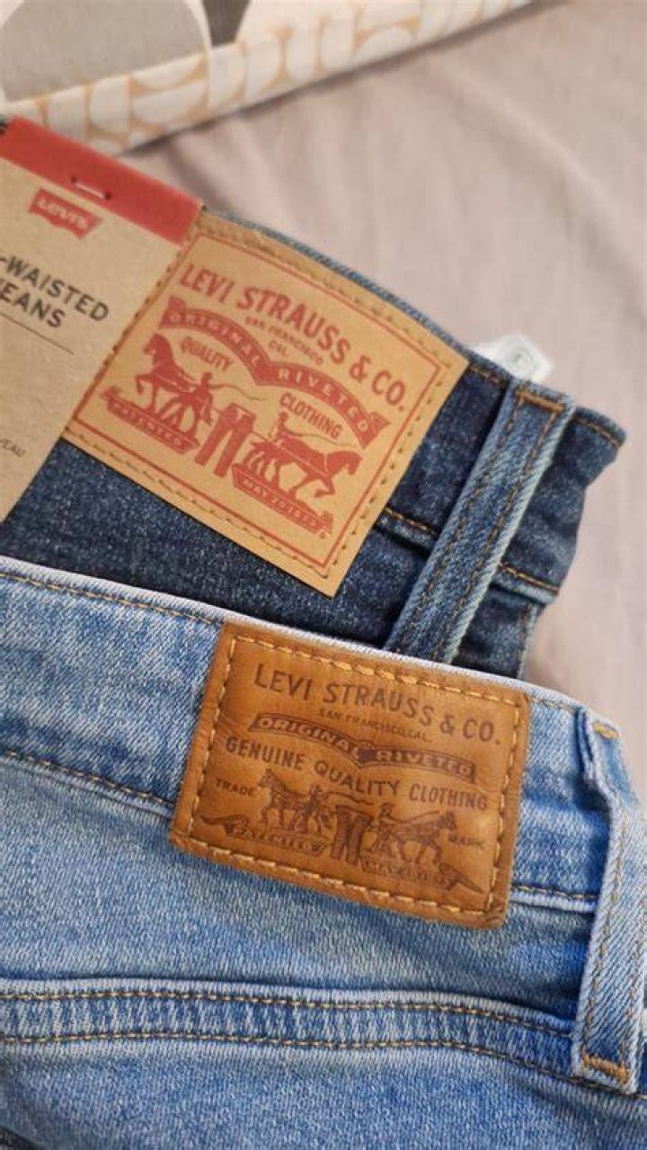 When did Levis change their logo?