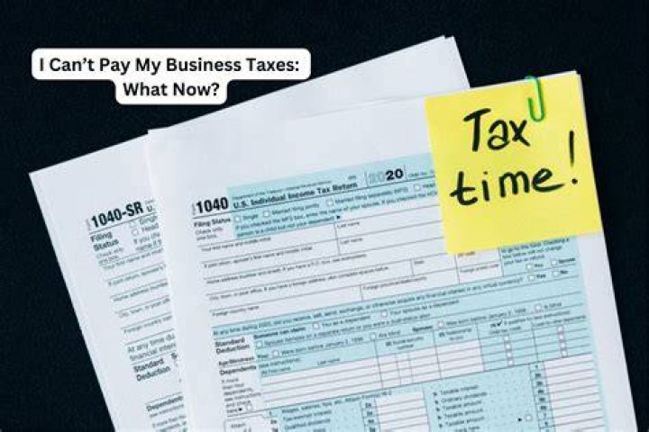 When do I have to pay my taxes for 2019?