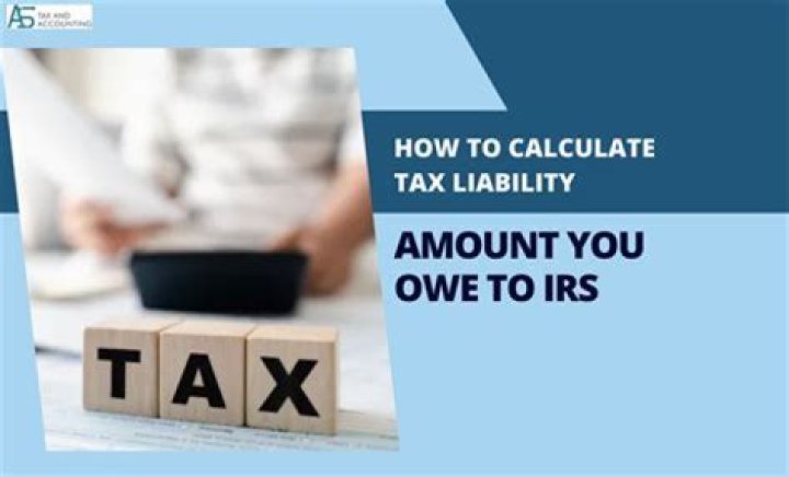 When do you have no tax liability for the prior year?